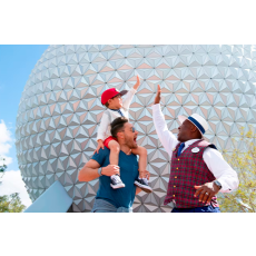 Disney Private VIP Tours